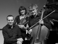 Trio Sarti